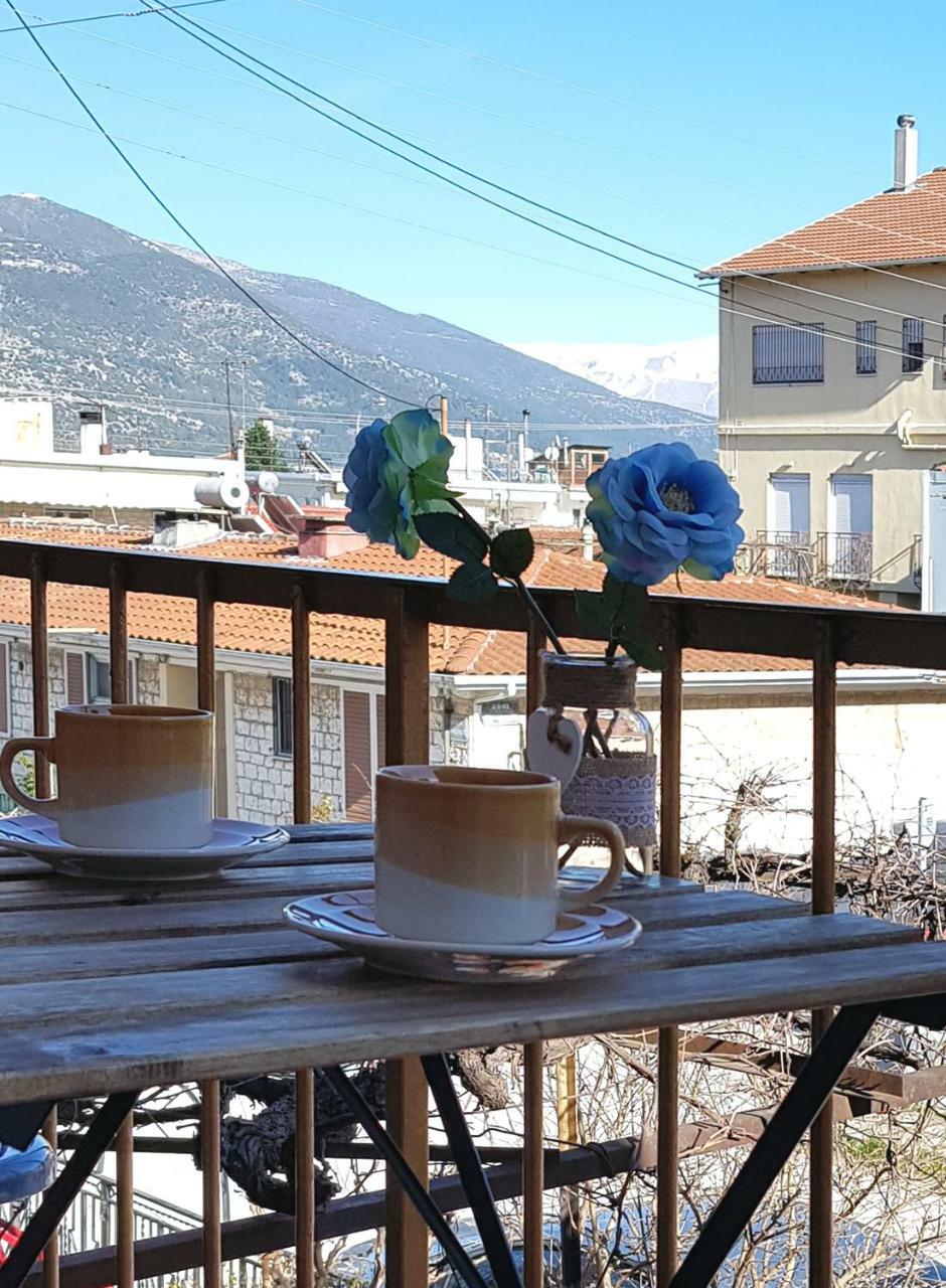 Villa Liberty Ιωαννινα Ioannina Exterior foto